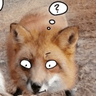 confused