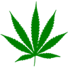 ijweed
