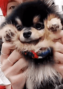 yeontan_greet