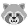 raccoon_1f99d