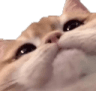 7508327431595622721
