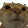 844870924776112158