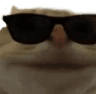 888071327926325259