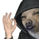 910491528030482432