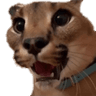 floppog