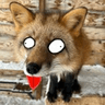 DerpyFox