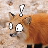 Yipe