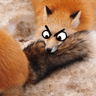 TailMonch