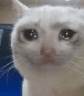 crycat