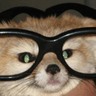 FennecSmort