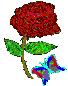 r_rose