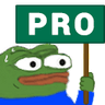 Pro
