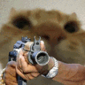 catgun