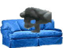 monkeycouch
