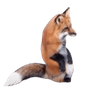 FoxSits