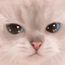 PewAngryCat