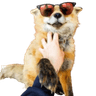 FinneCool