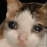oki