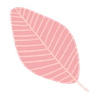 p_leaf01