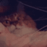 emoji_423