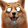 DroolDerp