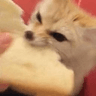 FenNom