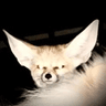 FenDisapprove