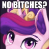 bitch