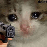 ze_catgun