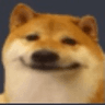 ze_doge