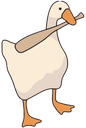 wyRkD4c
