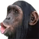 5832monke