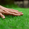 touchgrass