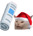 catbonkchrissy
