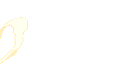 cummy