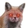FoxLaser