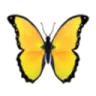 yellowbutterfly