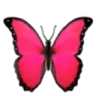 redbutterfly