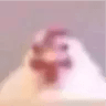 QueChicken
