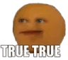 TrueTrue