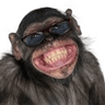 Monkesmile2