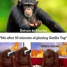 MonkeMeme