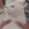 883453245773717504