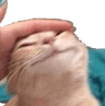 patpa