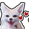 FennecHearts