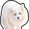 ArcticFloof