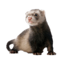 emoji_17
