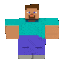 steve_walk