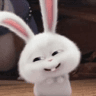 jiji