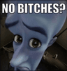 nobitches